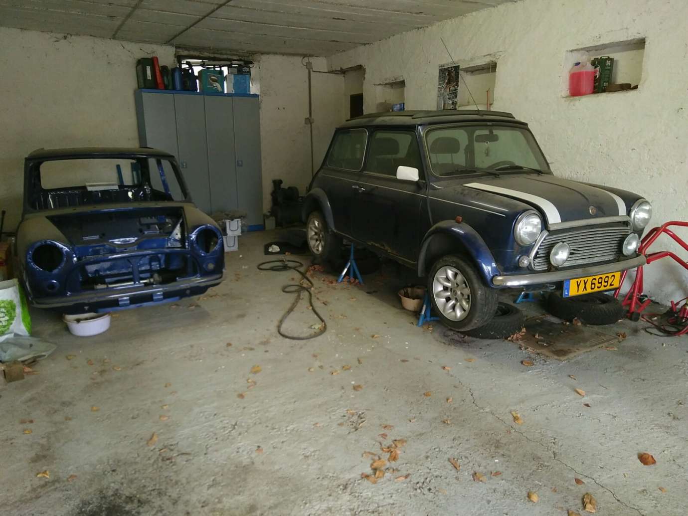 Mini 50 anniv. & BMH shell – Longspeed – The Mini Classic Center in ...
